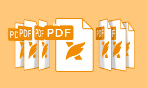 Rethinking the Document: Current Trends & Future Benefits