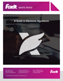 Electronic Signatures